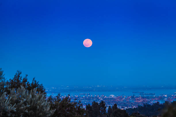 istock Pink Moon - April 6 2023 1480891240