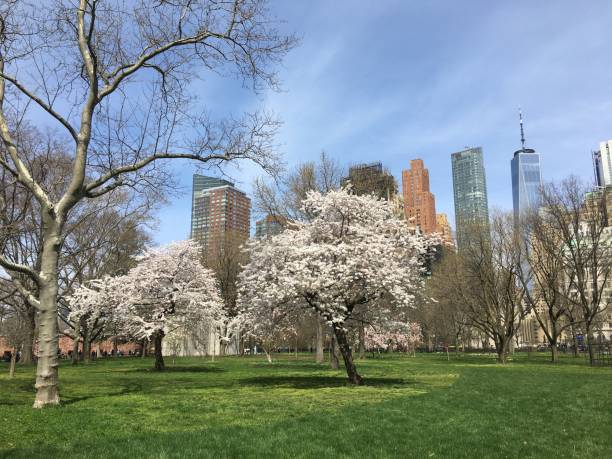 istock April at Battery Park in New York, NY. 1480892900