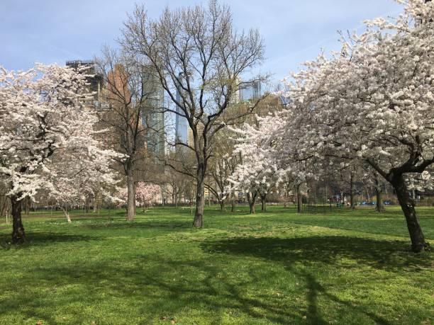 istock April at Battery Park in New York, NY. 1480892903