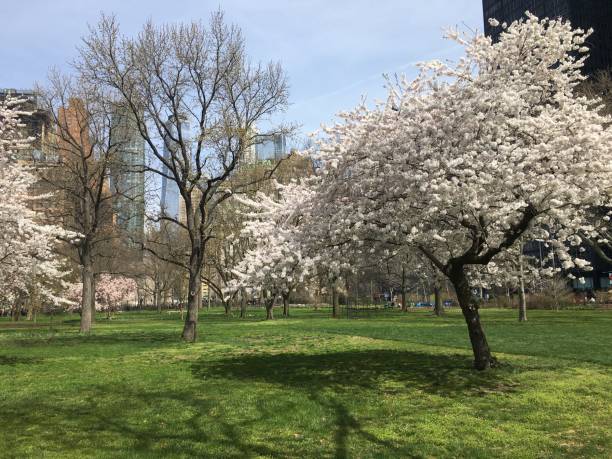 istock April at Battery Park in New York, NY. 1480892905
