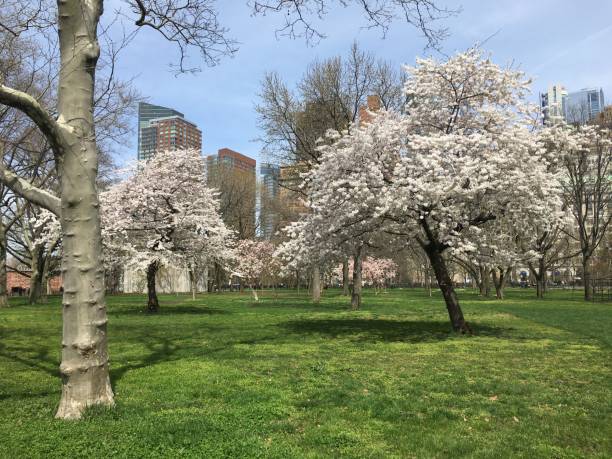 istock April at Battery Park in New York, NY. 1480892909