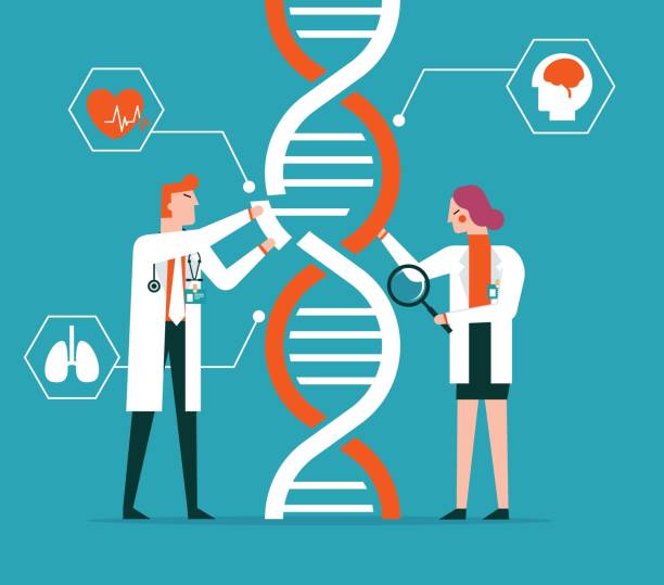 Genetic engineering Genetic engineering vector art illustration. Genetic engineering, GMO and Gene manipulation concept genetic screening stock illustrations