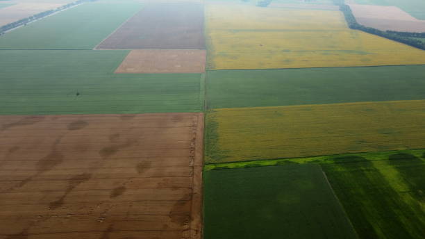 istock Aerial drone view flight over different agricultural fields sown 1480897199