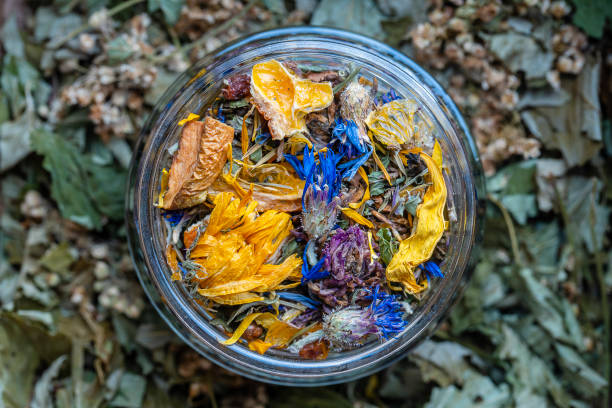 trockene blumen- und kräuterteeblätter in einem glas. kräutersammlung von kamille, kornblume, minze, sanddorn, zitronengras, wildrose, getrockneten zitrusfrüchten und äpfeln - mint tea lemon tea leaves glass stock-fotos und bilder