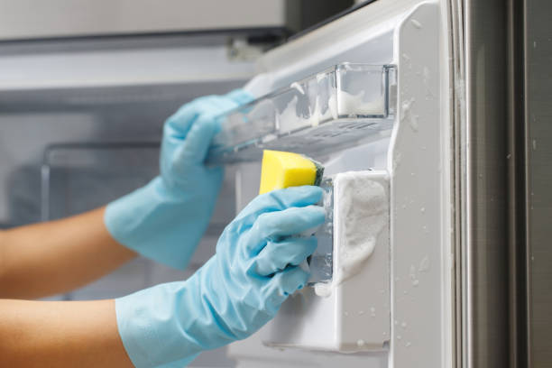 istock Employees use a cloth to clean the refrigerator. 1480901002
