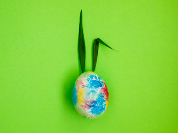 Colorful Easter Egg with Bunny Ears from green grass on green Background. Creative Greeting Card. Minimalism Concept. Copy Space