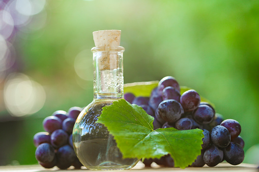 Grape seed Oil. grape oil and vinegar in glass round bottle, grapes bunches with green leaves on a wooden saw cut on a blurred green garden background.Organic Natural Bio Grape Seed Oil.