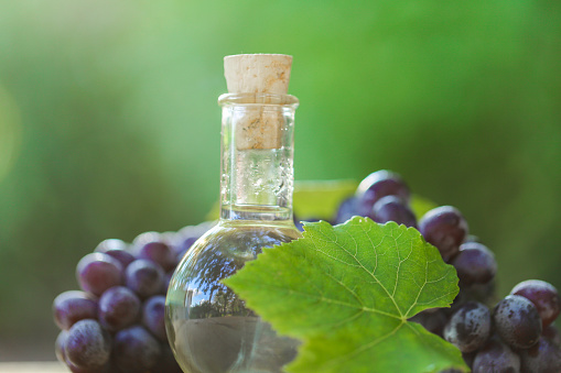 grape oil and vinegar in glass bottle, grapes bunches with green leaves on a wooden saw cut on a blurred green garden background.