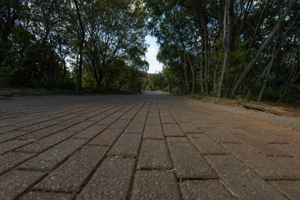 path in park