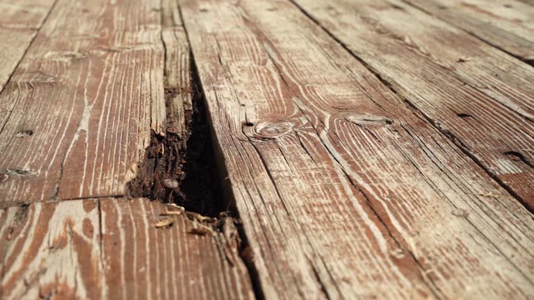 Boards Rotting on a Deck