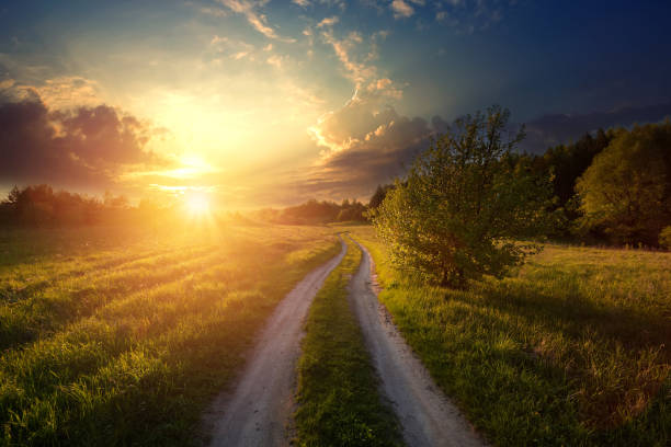 istock Rural road in green grass and orange summer sunset. 1480916774