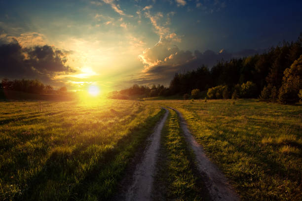 istock Rural road in green grass and orange summer sunset. 1480917588
