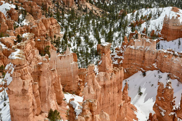 istock Bryce Canyon National Park, Utah 1480921064