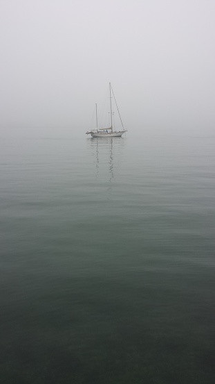 Yacht in a misty morning, Wellington Harbour