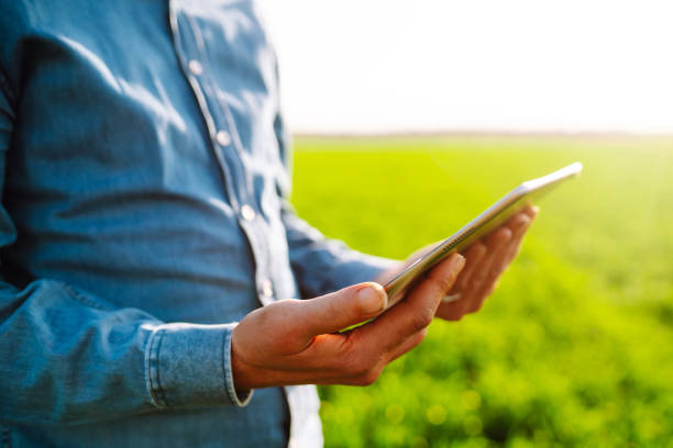 istock farmer with a digital tablet on a green field. 1480925265