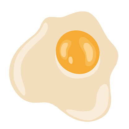fried egg isolated on white background vector illustration