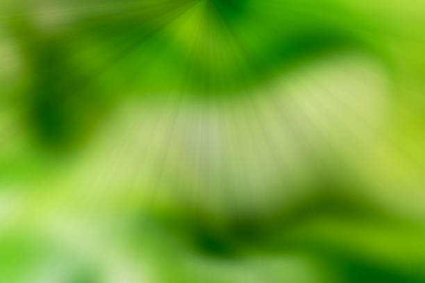 Abstract green nature motion blurred of lane flare light effects on the botanic garden background. Idea for wallpaper, flyer,banner,logo design, brochures etc.,