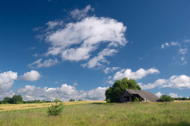 istock Village landscape on a summer sunny day 1480929102