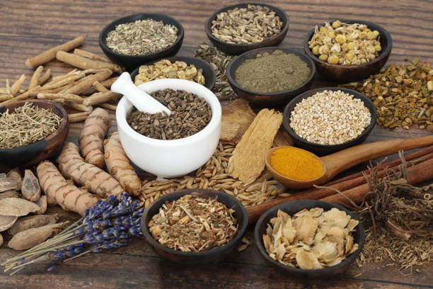 istock Nervine Herbs Natural Food for Relaxing the Nervous System 1480935366
