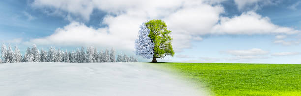 istock Season change from winter landscape to summer landscape 1480936598