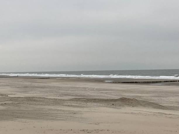 istock Low tide on the beach in the Netherlands 1480936603