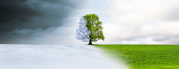 istock Season change from winter landscape to summer landscape 1480936629