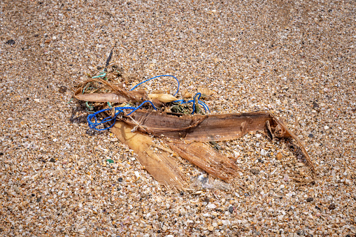 Plastic pollution. Discarded nylon rope on the beach