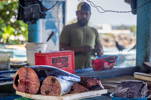 Galle, Sri Lanka - February 11th 2023: Fishmonger on the fish market on the beach outside Galle selling tuna fish - the man is out of focus
