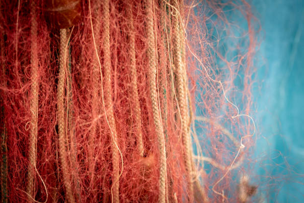 Orange and blue fishing nets