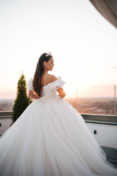 istock Beautiful bride posing in white princess dress with crown. 1480953329