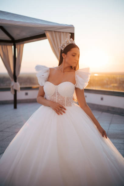 istock Beautiful bride posing in white princess dress with crown. 1480953419