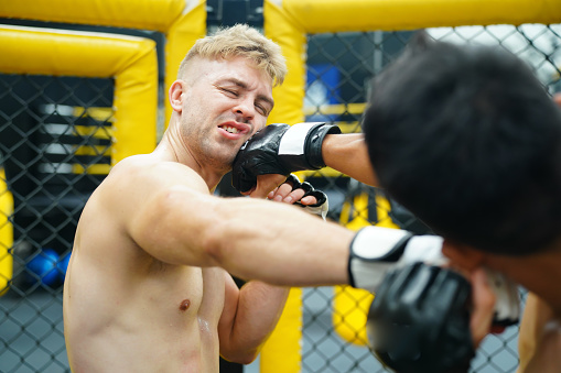 Mixed Martial Art, Power punches into the face of the opponent. Able to defeat opponent by knockout.