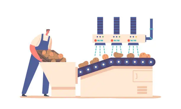 Vector illustration of Potato Chips Manufacturing Process. Worker Character Wearing Uniform Washing Raw Vegetables on Factory Conveyor