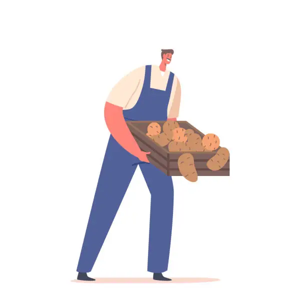 Vector illustration of Hardworking Farmer Holding Box Full Of Freshly Harvested Bountiful Potato Harvest. Marketing Agricultural Products
