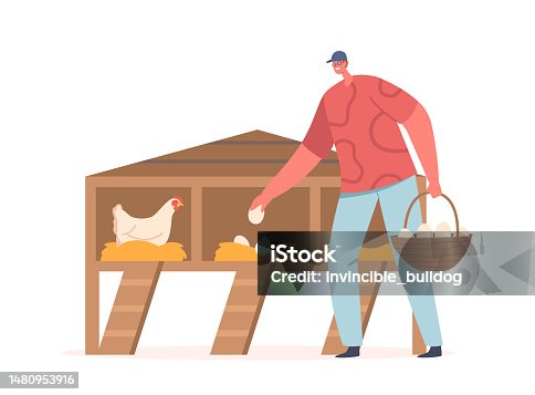 istock Man Collecting Eggs On Chicken Livestock Farm. Farmer Character Picking Up Eggs From Coop, Depicting Agricultural Work 1480953916