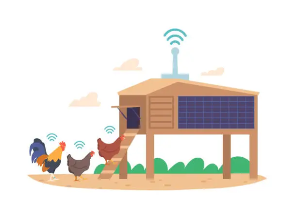 Vector illustration of Chicken With Wifi On Smart Farm. Advanced Technology With Real-time Monitoring Of Environmental Conditions