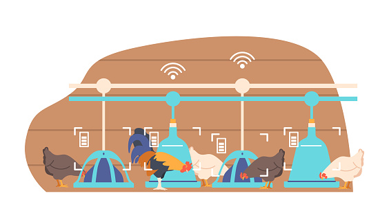 Smart Feed Iot System For Chickens On Farm Provides Efficient And Automated Feeding To Ensure Optimal Growth And Health. Advanced Technology Monitors Fowl Consumption. Cartoon Vector Illustration