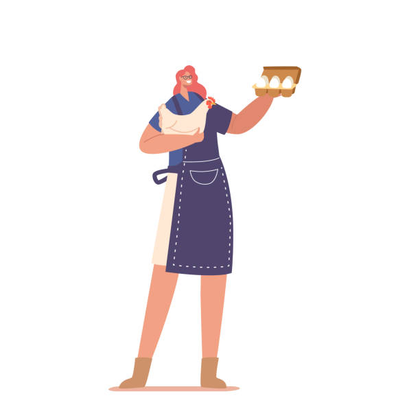 женский персонаж, работающий на птицефабрике, держит поднос с яйцами и курицу в руках, изолированных на белом фоне - women meat working tray stock illustrations