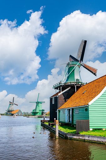Colorful traditional Dutch windmills along Zaan river. Blue sky with fluffy clouds on the background.