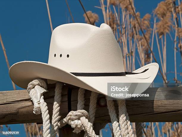 Chapéu De Cowboy De Uma Vedação - Fotografias de stock e mais imagens de Branco - Branco, Caniço, Cena Não Urbana