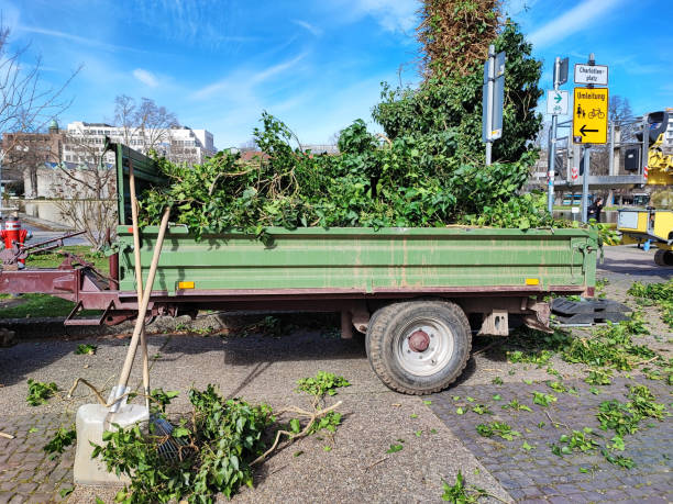 garden waste on a trailer in a city park stock photo