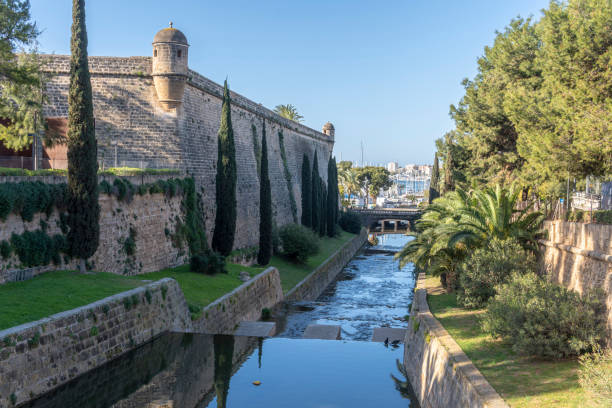 istock General view of Sa Riera park 1480959501