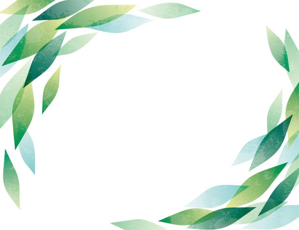 ilustrații de stoc cu acuarelă cadru grunge cu frunze - ceai