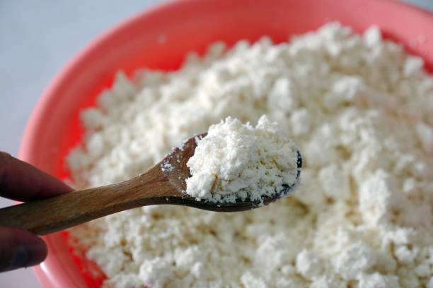 istock healthy homemade fresh curd cheese, protein source fat-free curd cheese, fat-free curd cheese, 1480968738