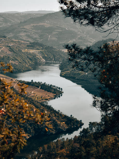 Viewpoint of Ujo in the North Region of Porto, Portugal
