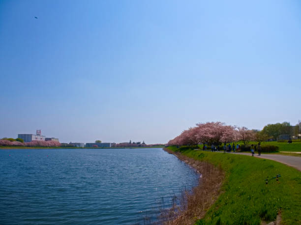 istock Japanese park with good weather 1480972095