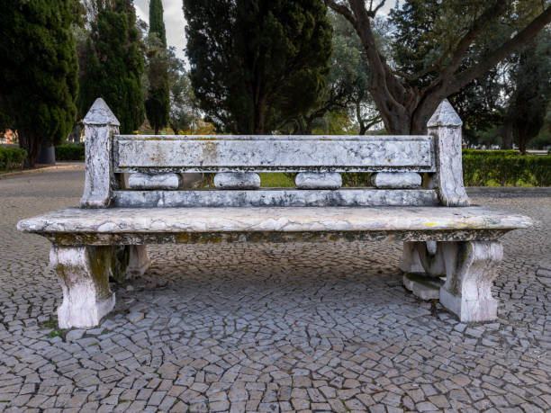 Bench in a park stock photo