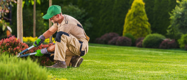 istock Landscaping and Garden Care Worker Trimming Plants 1480977993