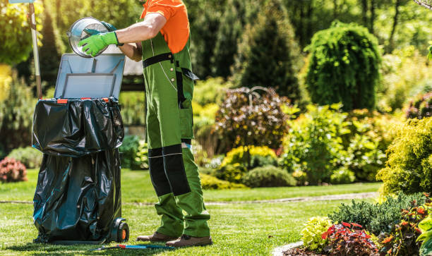 istock Spring Time Back Yard Garden Maintenance and Cleaning 1480978120