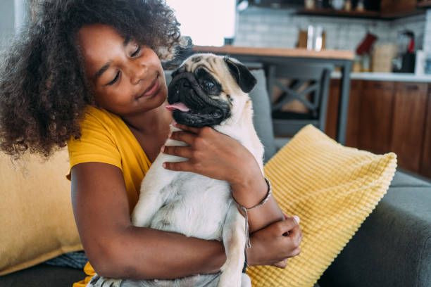 istock Girl and a dog at home. 1480979185
